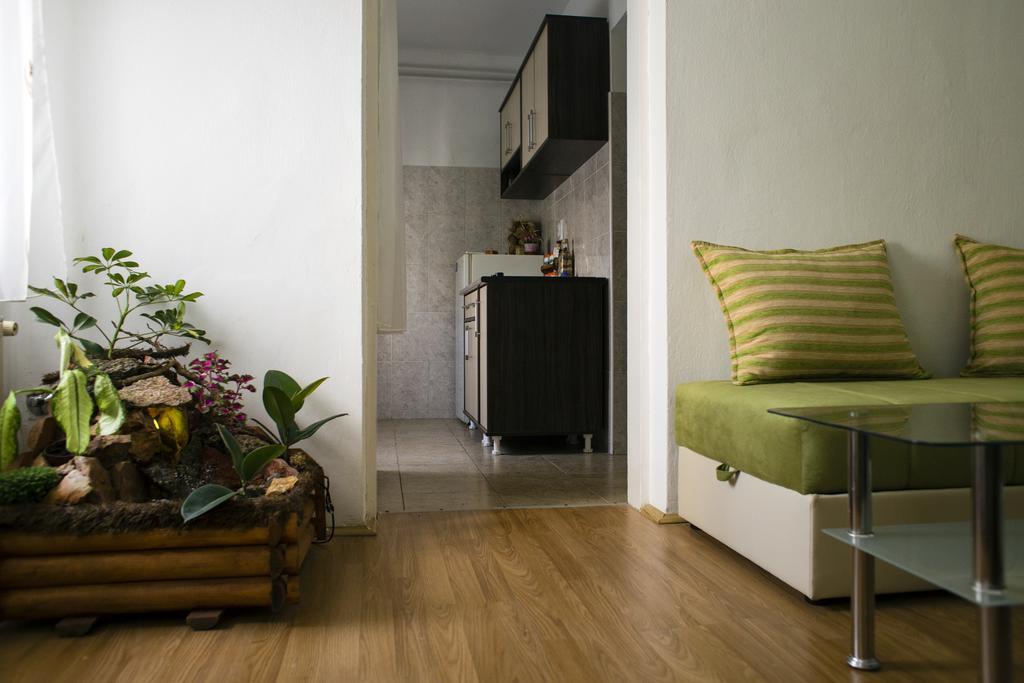 Green Apartment ノヴィ・サド エクステリア 写真